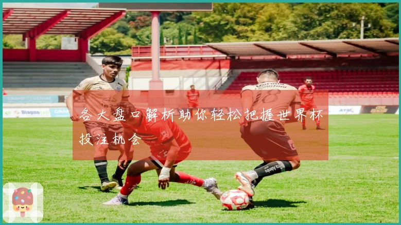 各大盘口解析助你轻松把握世界杯投注机会
