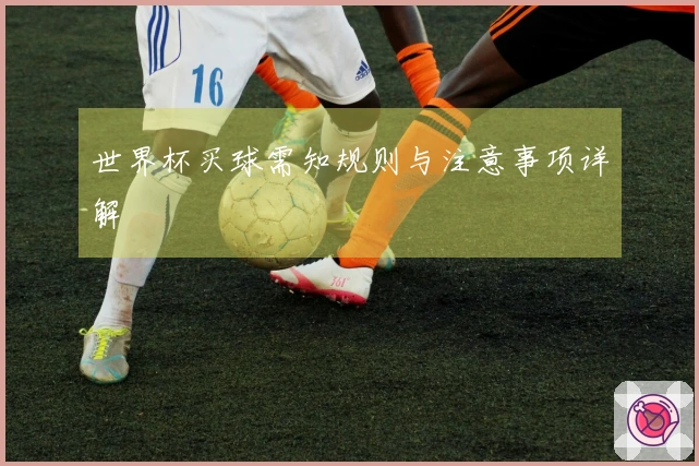 世界杯买球需知规则与注意事项详解