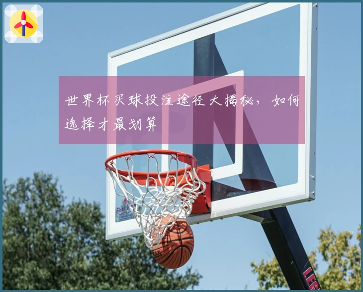 世界杯买球投注途径大揭秘，如何选择才最划算